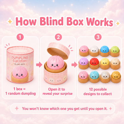 Dumpling Squishy — Boîte Mystère Surprise