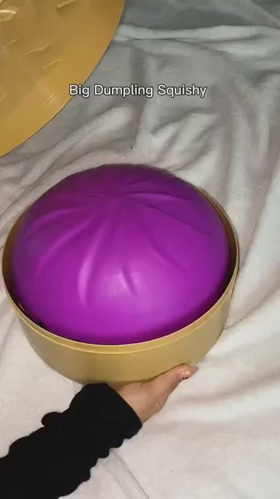 Giant Dumpling Squishy TikTok 2