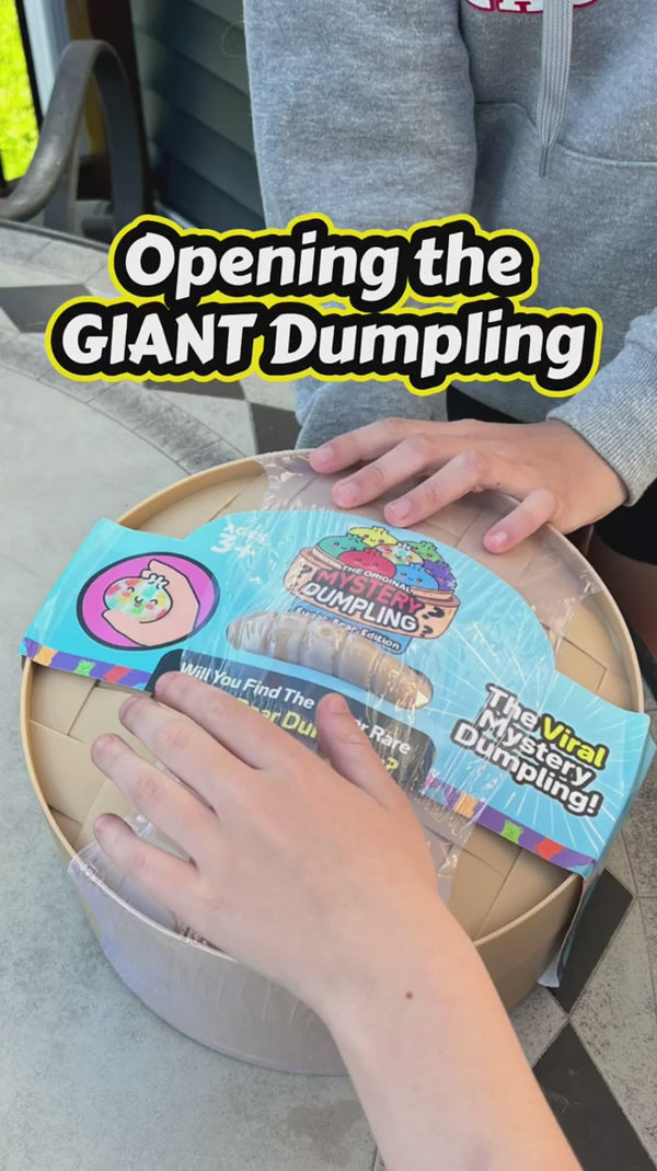 Giant Dumpling Squishy TikTok 4