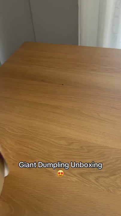 Giant Dumpling Squishy TikTok 3